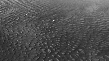 Still from "Scales" Surreal Video Art