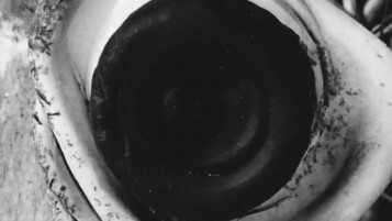 Still from "Scales" Experimental Surreal Video Art Project