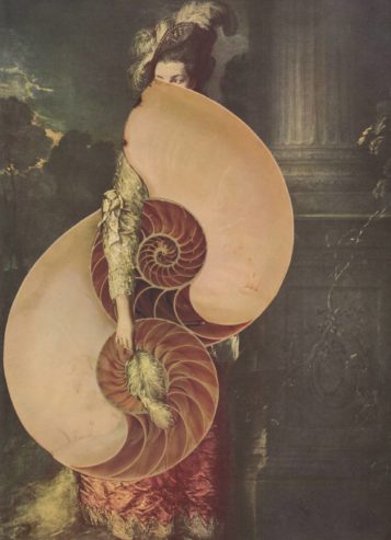 Fibonacci's Folly Collage by Deborah Stevenson